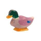 Duck Male