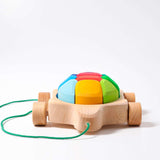 Pull Along Rainbow Turtle with Blocks