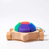 Pull Along Rainbow Turtle with Blocks