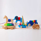 Pull Along Rainbow Turtle with Blocks