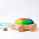 Pull Along Rainbow Turtle with Blocks