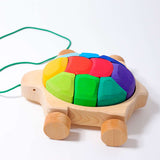 Pull Along Rainbow Turtle with Blocks