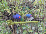 Father and Son on a Branch