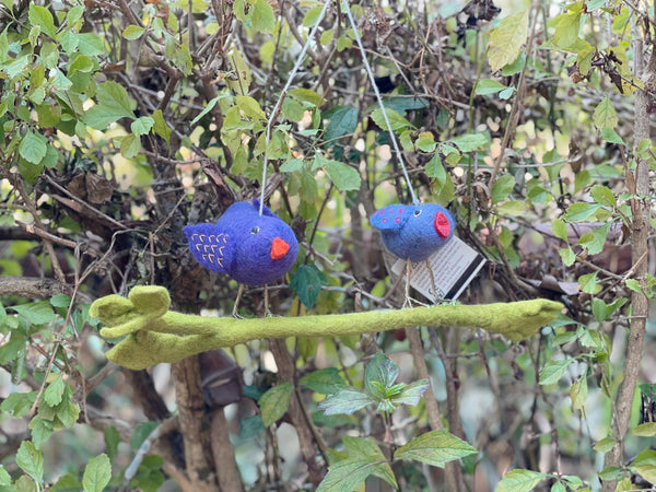 Father and Son on a Branch