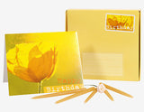 Birthday beeswax candles, gift pack @ 大樹孩子生活館             Tree Children's Lodge, Hong Kong - 2