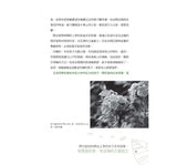 如詩般的植物課：將植物比擬孩子的成長歷程，充滿哲思、想像力的美感體驗（華德福教學引導1）