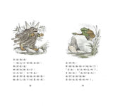 青蛙和蟾蜍 Frog and Toad (一套4冊附英文故事CD)