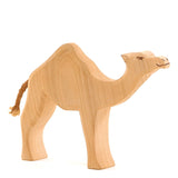 Dromedary